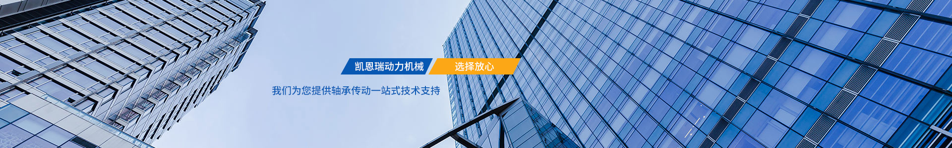 企業(yè)愿景